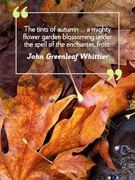 55 Fall Quotes To Remind You Just How Beautiful This Season Is Autumn Quotes Seasons Autumn