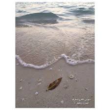 مسابقة صوره وتعليق 4 Outdoor Beach Water