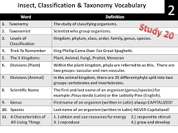 6 L 4a 2 Classification Structure South Carolina 6th Grade