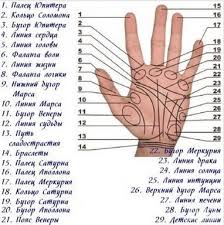 что означают линии на ладони простым и доступным языком Learn Astrology Remedies Palmistry Palm Reading Palmistry Learn Astrology