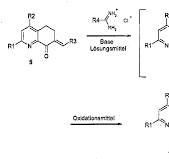 EP1970371A1 - Pyrido(3,2-h)chinazolins and/or 5,6-Dihydro ...