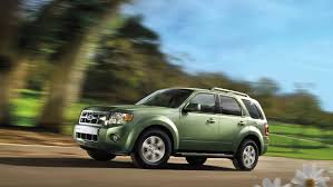 Image result for Green Orchid 2011 Escape