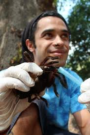 Diego Fernando Arellano de Figueredo