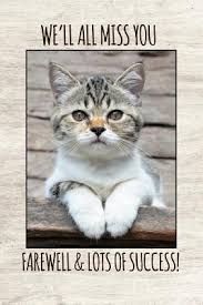 My departed coworker gave me a pair of shoes as a farewell gift. We Will All Miss You Farewell And Lots Of Success 6x9 Blank Lined Notebooks For Coworker Gift That Are Leaving For Cat Lover By Not A Book