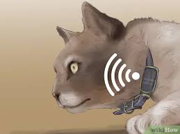How can i check my pets microchip? 3 Ways To Track A Pet With A Microchip Wikihow Pet