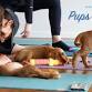 Pups & Pilates with Club Pilates event image