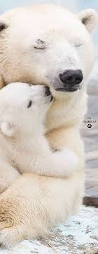 Epingle Sur Our Other Friends