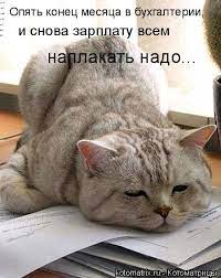 Опять конец месяца в бухгалтерии,! и снова зарплату всем наплакать надо...  / котоматрица / смешные картинки и другие приколы: комиксы, гиф анимация,  видео, лучший интеллектуальный юмор.