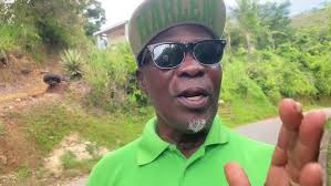 Tour of Stollmeyer's Castle 🏰