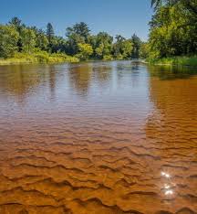 Wild Rivers Conservancy
