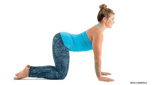 Menarik rasa sakit di bawah tulang belikat kanan. 12 Pose Yoga Untuk Mengatasi Sakit Pundak Dan Leher Bagian 2