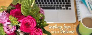 Feb 27, 2018 · foxglove poisoning is the accidental or intentional intake of the plant or plant product containing the compound. Foxglove Flowers Llc Home Facebook