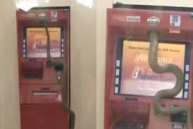 Contact us today for more info. Stuff Of Nightmares Video Of Snake Crawling Inside Atm Machine Will Make You Think Twice About Taking Out Money