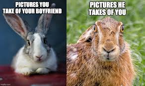 Funny child name, funny, , funny quotes, funny memes, funny. 10 Funny Rabbit Memes Guaranteed To Make You Laugh Rabbitspot