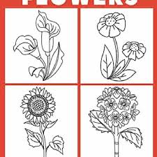 You'll find everything from common favorites like roses and tulips to exotic plants and flowers. Stream Episode Ebook How To Draw Flowers Easy Step By Step Drawing Tutorial For Kids By Pebe Podcast Listen Online For Free On Soundcloud