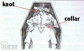 I This Comes In Handy I Think How To Escape Being Buried Alive Loving Your Body Visual Writing Prompts Coffin