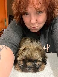 Excited 8-week-old puppy meets new surroundings