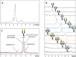 Hydrophilic Interaction Chromatography For The Analysis Of