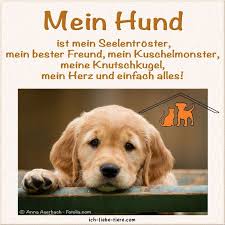Mein Hund Ist Mein Seelentroster Mein Bester Freund Mein Kuschelmonster Meine Knutschkugel Mein Herz Und Einfach Alles Hunde Spruche Tiere Hund Zitat