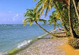 Seldom have i been so tired after a meeting. Parler De Ses Vacances Holiday S Phrases Utiles Parler Anglais