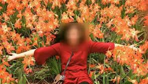 Kebun bunga amarilis ini sempat mengalami insiden tidak mengenakkan pada tahun 2015 silam. Taman Bunga Gunungkidul Rusak Warga Buka Kotak Sumbangan Nasional Tempo Co