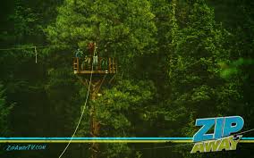 Find & download free graphic resources for wallpaper. Zip Away Zipline Tours Installation Buisness Zip Away Official Site Of The Zip Away Tv Series