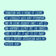 Image result for Dyschoriste transvaalensis