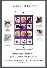 You may contact second chance pet adoption for questions about: 61 Foster Poster Ideas Animal Shelter Pet Adoption Animal Rescue