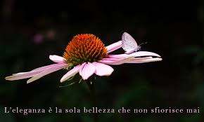 Frasi per ringraziare la moglie. Frasi Sulle Donne Forti Vere E Intelligenti E Sulla Femminilita