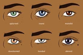 Find modern bedroom furniture & more from west elm®. What Is My Eye Shape Everything You Need To Know About Your Eye Shape Makeup For Eye Shape Instyle