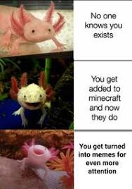 Check spelling or type a new query. Axolotl Know Your Meme