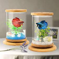 Tips covering diy betta fish tanks, equipment, set up and decorating ideas are covered. 1pcs Bamboo Base Glass Betta Fish Tank Mini Fish Tank Decoration Accessories Rotate Decoration Fish Bowl Aquarium Accessories Buy At The Price Of 33 37 In Aliexpress Com Imall Com