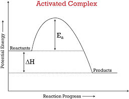 Examples of how to use activated complex in a sentence from the cambridge dictionary labs Potential Energy Diagrams Ck 12 Foundation