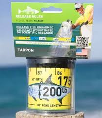 Tarpon Release Ruler Fish Measure Release