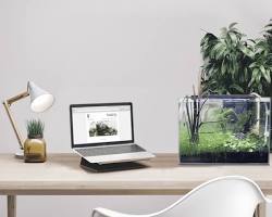 Hình ảnh về Một terrarium nhỏ xinh đặt trên bàn làm việc, bên cạnh laptop và sổ tay