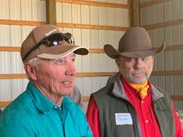 Vet shortages push Colorado Parks & Wildlife to consider new approach for  wolf depredation claims