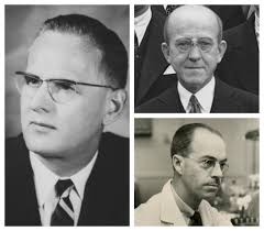 Timeline: Historia del descubrimiento del ADN