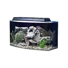How Many Fish In A Tank Calculator The Pet Supply Guy