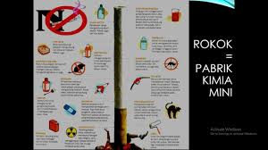 Asap rokok mengandung kurang lebih 4000 bahan kimia yang 200 diantaranya beracun dan 43 jenis lainnya dapat menyebabkan kanker bagi tubuh. Gambarkanlah Sebuah Rokok Lengkap Dengan Rincian Bahan Kimia Dan Pengaruhnya Bagi Kesehatan Brainly Co Id