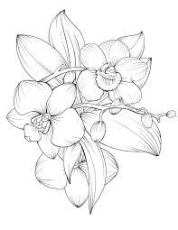 Pin On Wood Burning Ideas