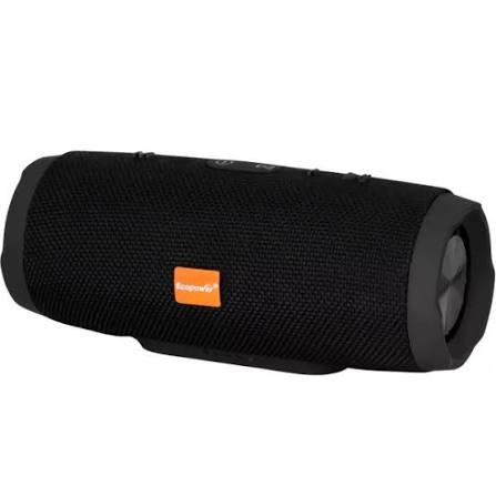 ECOPOWER EP-2506 SPEAKER