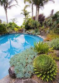 ayrlies garden new zealand tropical pool landscaping landscaping around pool swimming pool landscaping