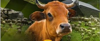 1 place de la porte de versailles. Salon De L Agriculture De Montagne Bourg Saint Maurice Jerusel It