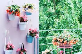 Mit Ihrer Uppigen Bluhpracht Uberzeugt Die Begonie Bis In Den Herbst Hinein Als Farbenfroher Und Unkomplizierter Dauerbluher Balkon Pflanzen Pflanzen Begonien