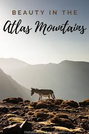 Traditional Beauty Products From The Atlas Mountains In 2020 Atlas Mountains Atlas Mountains Morocco Morocco Travel