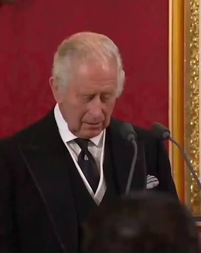 A poignant speech from the King. | The Mirror