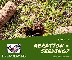 Complete lawn aeration equipment guide. Tips For Preparing Your Lawn For Aeration Dreamlawns Lawn Care