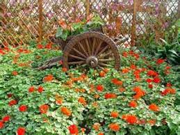 World Flower Garden Beijing Garden Park Beautiful Flowers Garden Flower Garden Design Garden