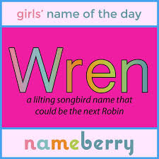This Petite Bird Was Seen As The Magician Of The Birds In Ireland And A Bird Of Prophecy By The Druids Names With Meaning Popular Baby Names Baby Girl Names