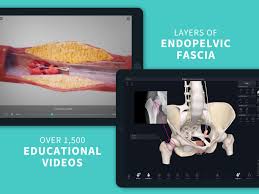 These free anatomy apps are terrific tools. Complete Anatomy 21 3d Human Body Atlas For Android Apk Download